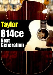 Taylor、新品のアコースティックギター検索結果一覧 | 【クロサワ楽器