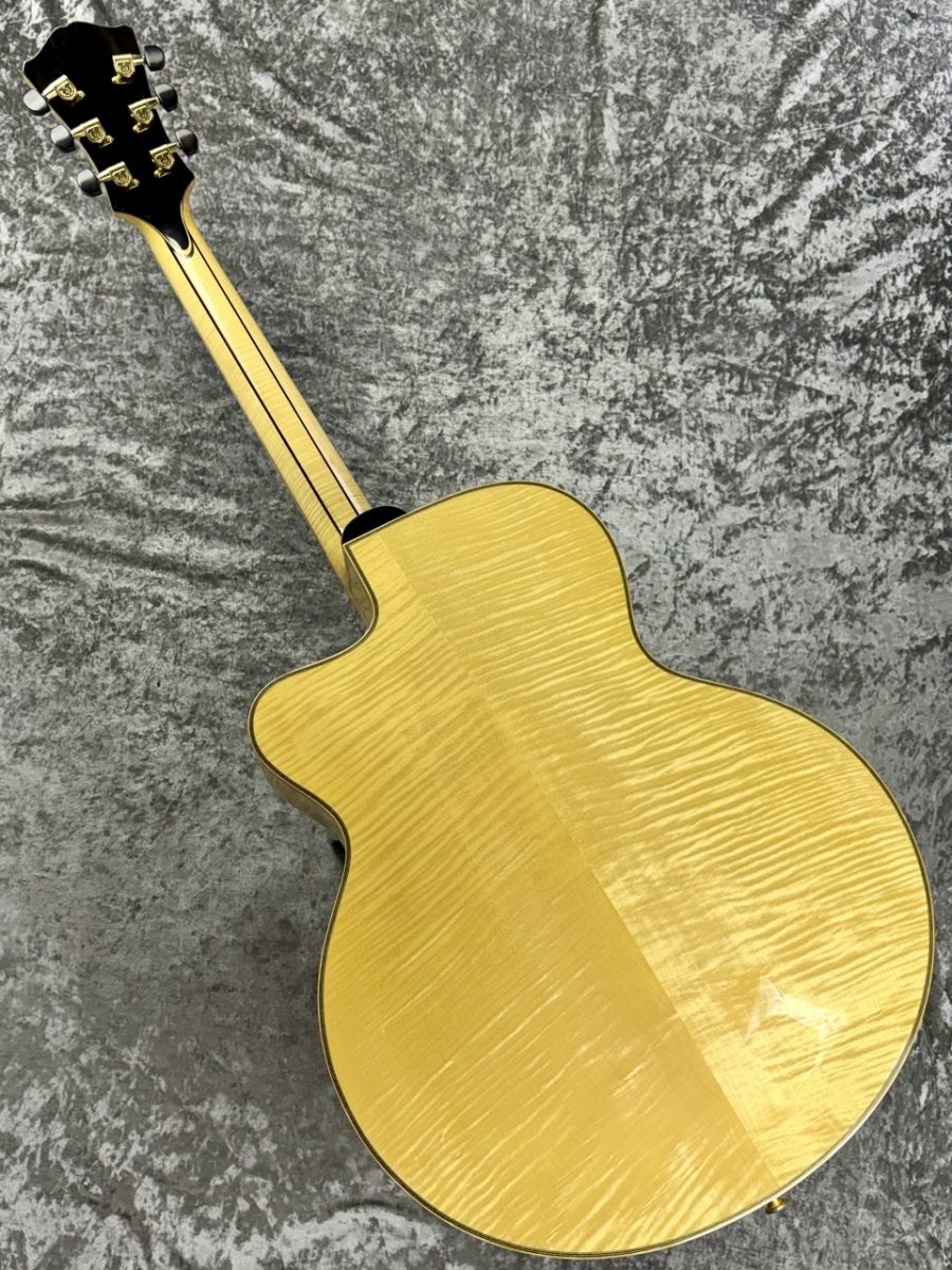 AR-905CE Blonde | 【クロサワ楽器店オンラインショップ】いい楽器との