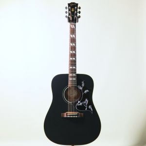 Acoustic World、ドレッドノート タイプ、スプルースの