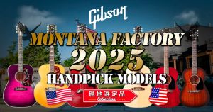 Ibanez アコースティックギター サンバースト Amazon.com: Ibanez Artcore Expressionist AG95QA - Dark Brown